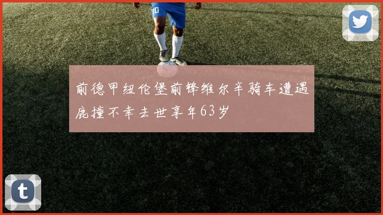 前德甲纽伦堡前锋维尔辛骑车遭遇鹿撞不幸去世享年63岁